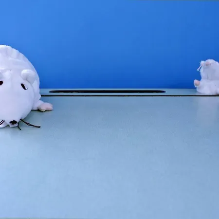 בית הארחה Il Cielo Sopra *