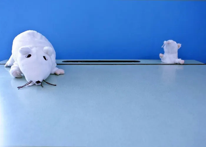 بيت ضيافة Il Cielo Sopra *